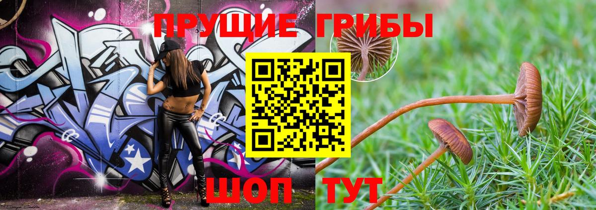 Галлюциногенные грибы Psilocybe  Вход с VPN  Серов  Псилоцибиновые грибы MAGIC MUSHROOMS 