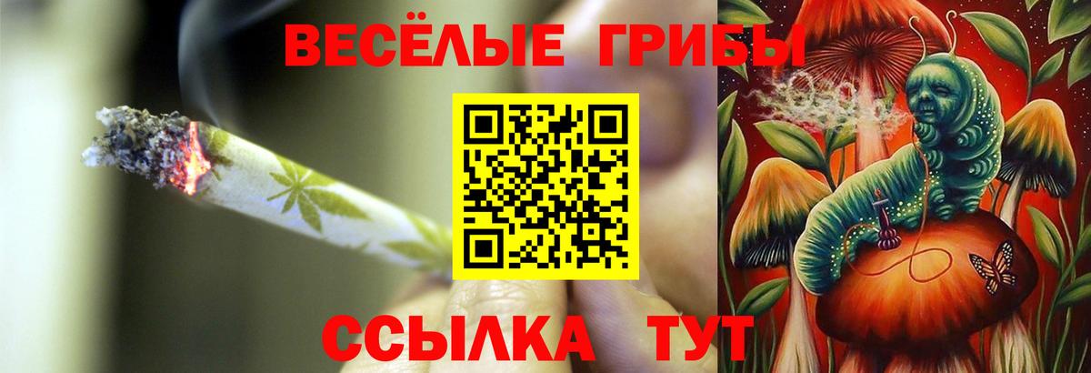 Псилоцибиновые грибы мицелий Серов